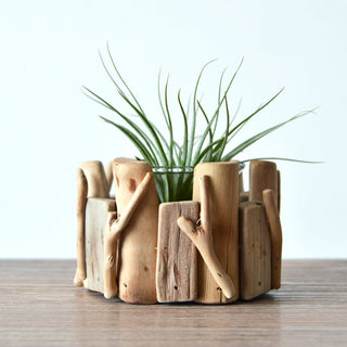 Wooden Tabletop Vase Creative Succulents Pot Flowers